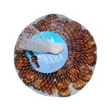 Sỏi thủy tinh DM0002