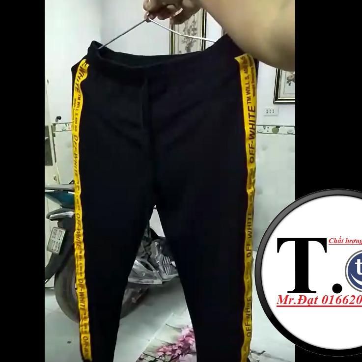 [HCM]Quần thun nữ Jogger Baggy - legging (dây viền thời trang vàng)