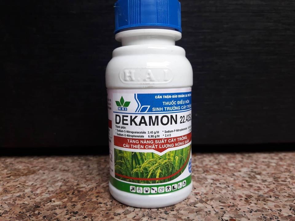 DEKAMON CHO LAN – SIÊU TĂNG TRƯỞNG