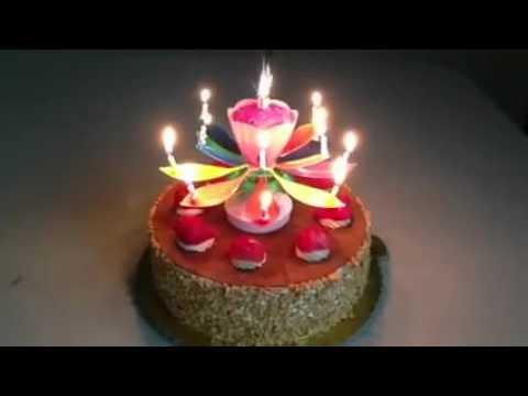 Nến sinh nhật 3D tự động nở hoa xoay tròn phát nhạc