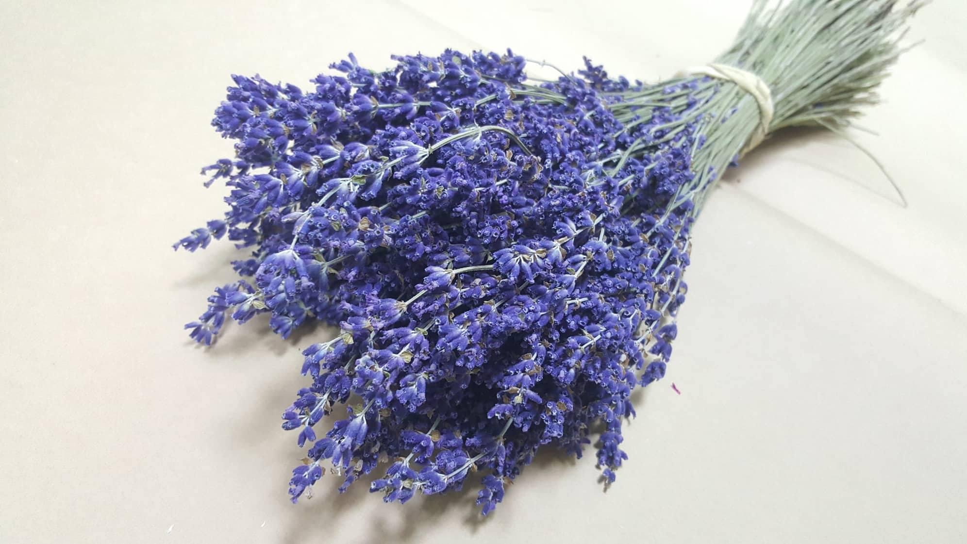 Bó Hoa Khô Oải Hương Lavender - Nhập Khẩu Pháp