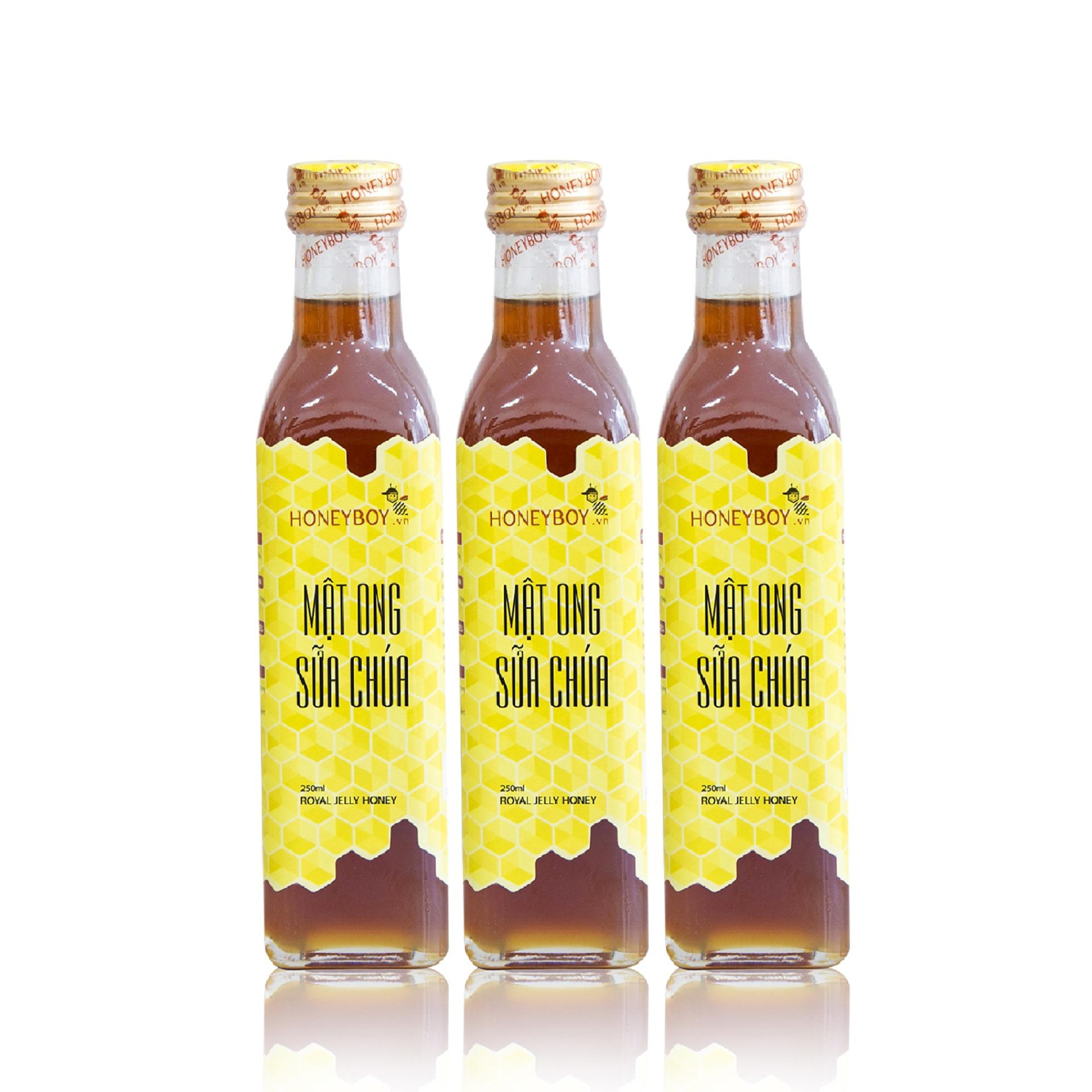 Bộ 3 Mật ong sữa chúa Honeyboy 250ml