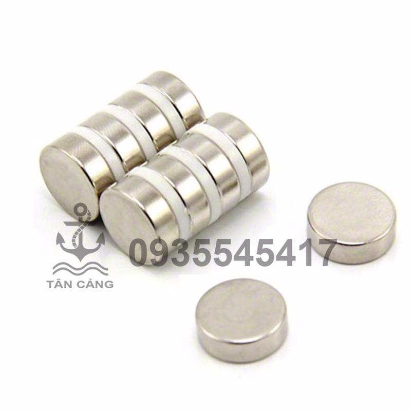 Combo 10 nam châm tròn 15 x 5 mm