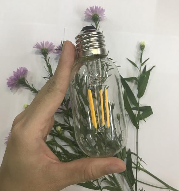 Bóng Đèn LED Edison T45-4W
