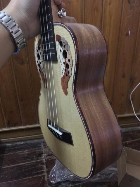 Ukulele concert hoa cao cấp