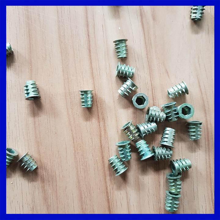 Túi ốc cấy gỗ phi 6 - 100 con