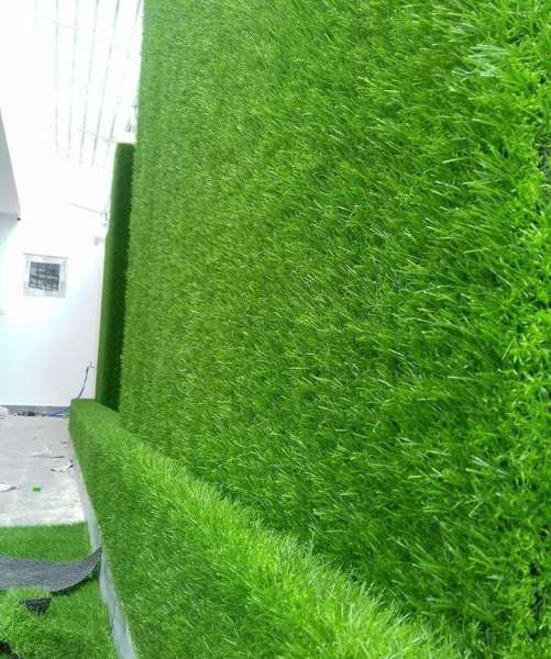 5 m2 cỏ thảm nhân tạo kt 2m*2,5m Cao 2cm