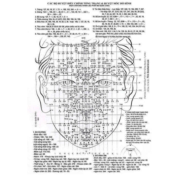 [HCM]Thanh dò cào Diện chẩn