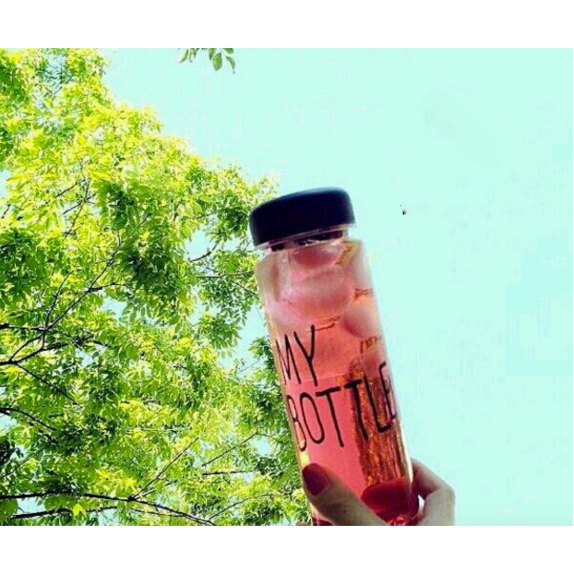 Combo 3 bình nước My Bottle 400ml