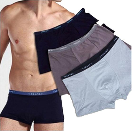 Bộ 6 quần sịp đùi xuất Nhật chất lụa cao cấp