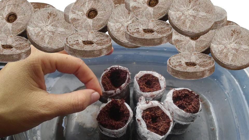 Viên nén ươm hạt (10 viên)