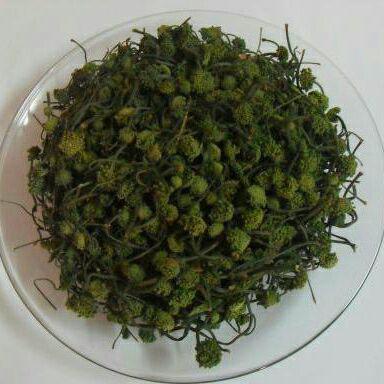 Nụ hoa tam thất 500g