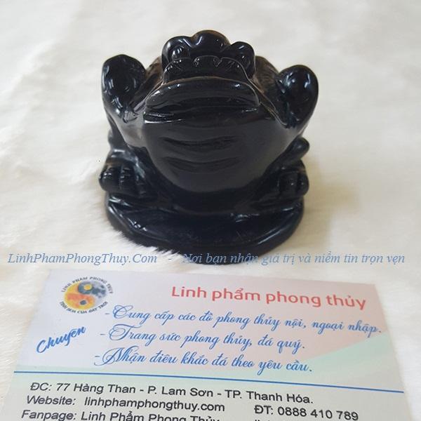 THIỀM THỪ ĐÁ HẮC NGÀ - LPTT1013