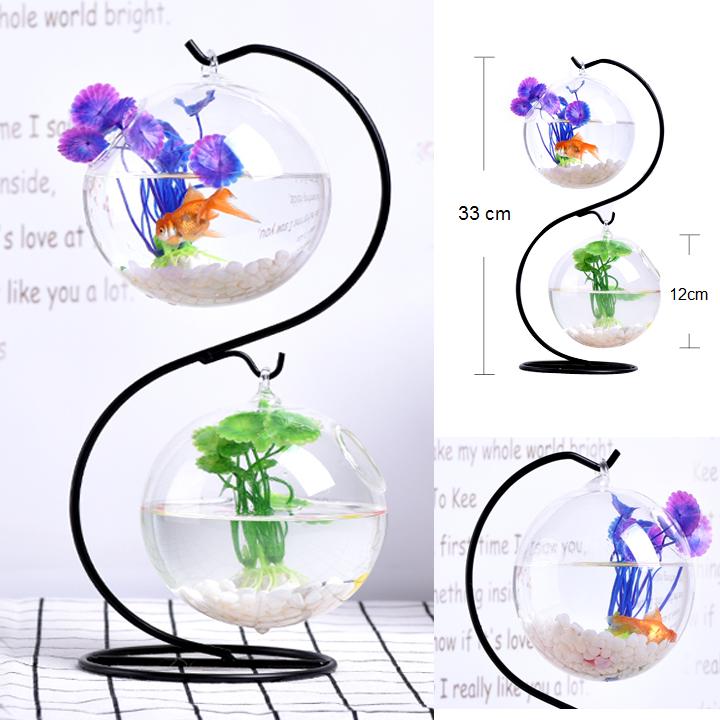 Bể cá mini để bàn treo chữ S
