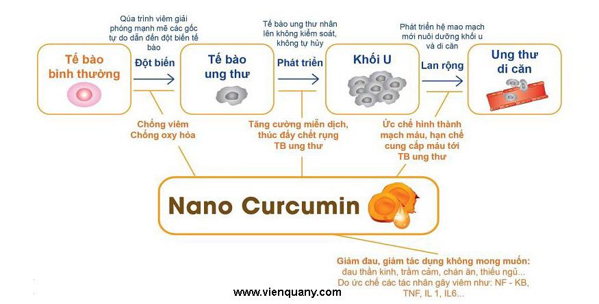 Nano Curcumin - Tam Thất - Xạ Đen