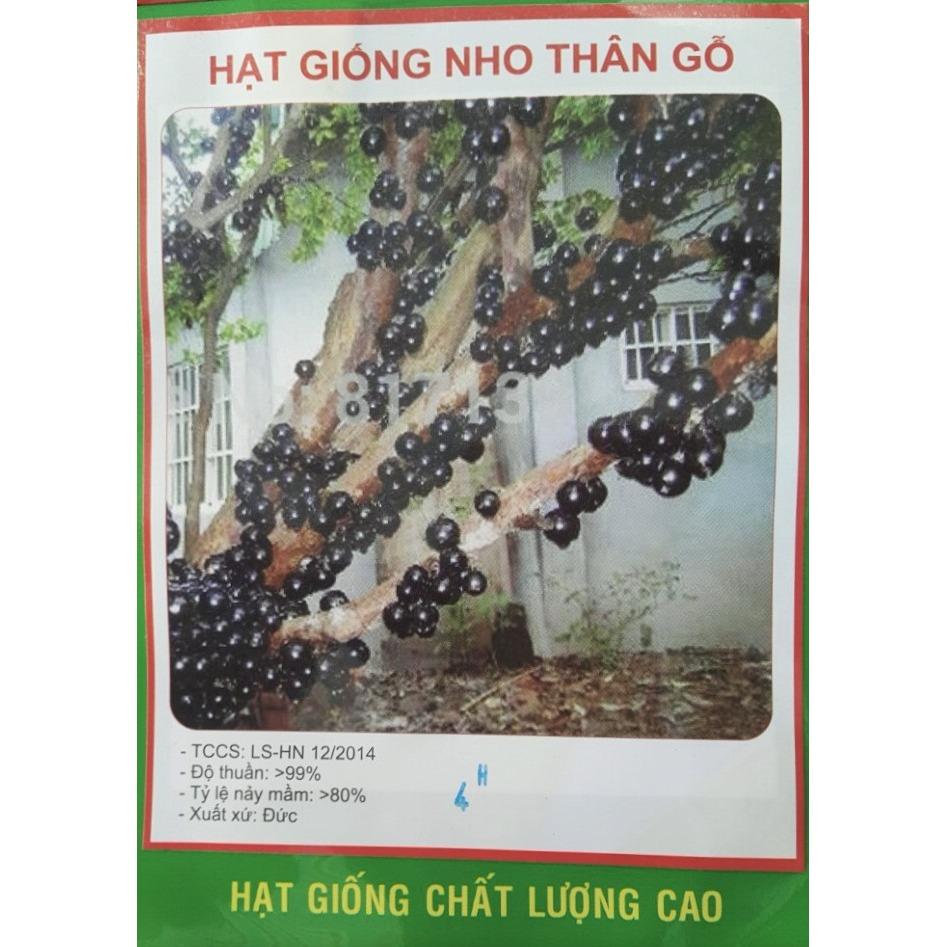 [HCM]Hạt Giống Nho Thân Gỗ  - Đức  KLT 04 Hạt .