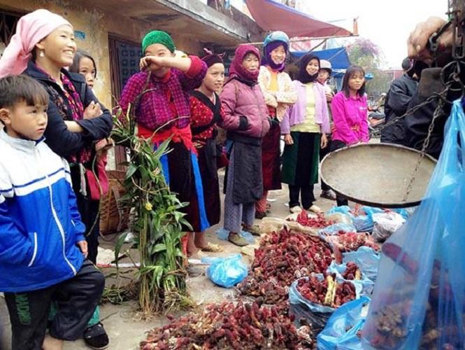 Nấm ngọc cẩu rừng Hà Giang 1kg