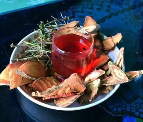 [HCM]cây cỏ máu tăng cân 1kg