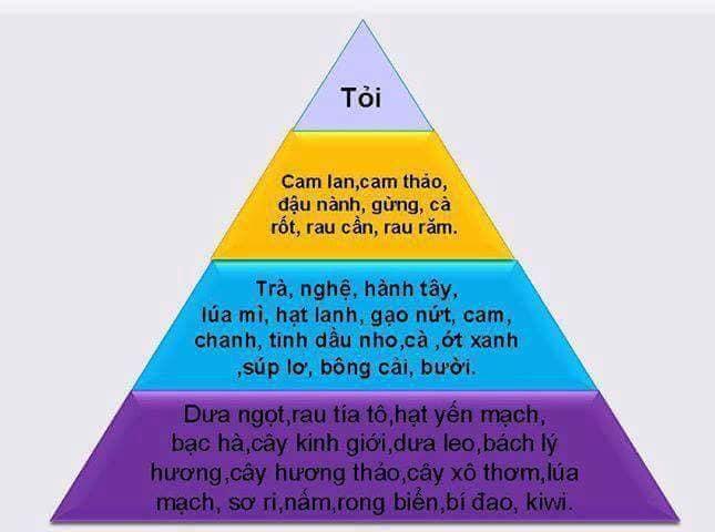 500gram Tỏi đen 1 nhánh Công nghệ Nhật Bản
