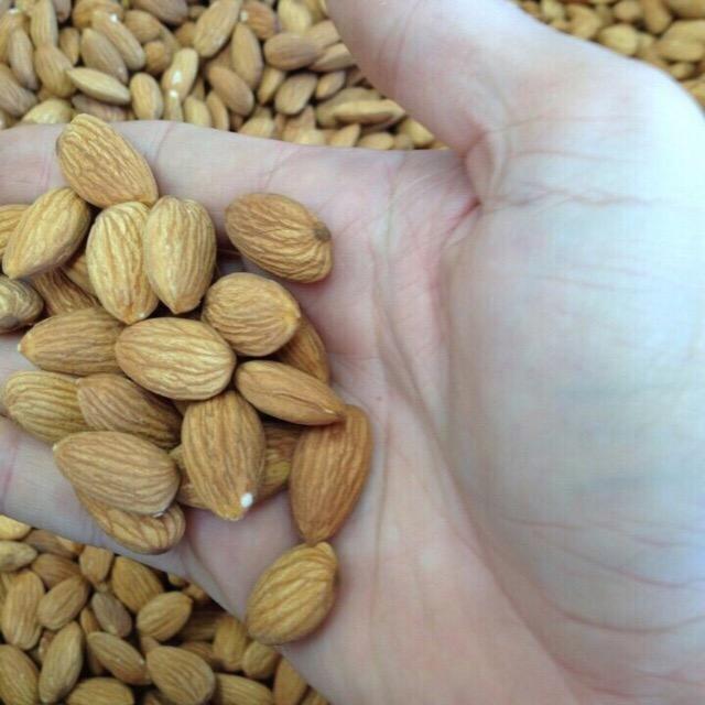 Hạt hạnh nhân tách vỏ sống Mỹ 500g