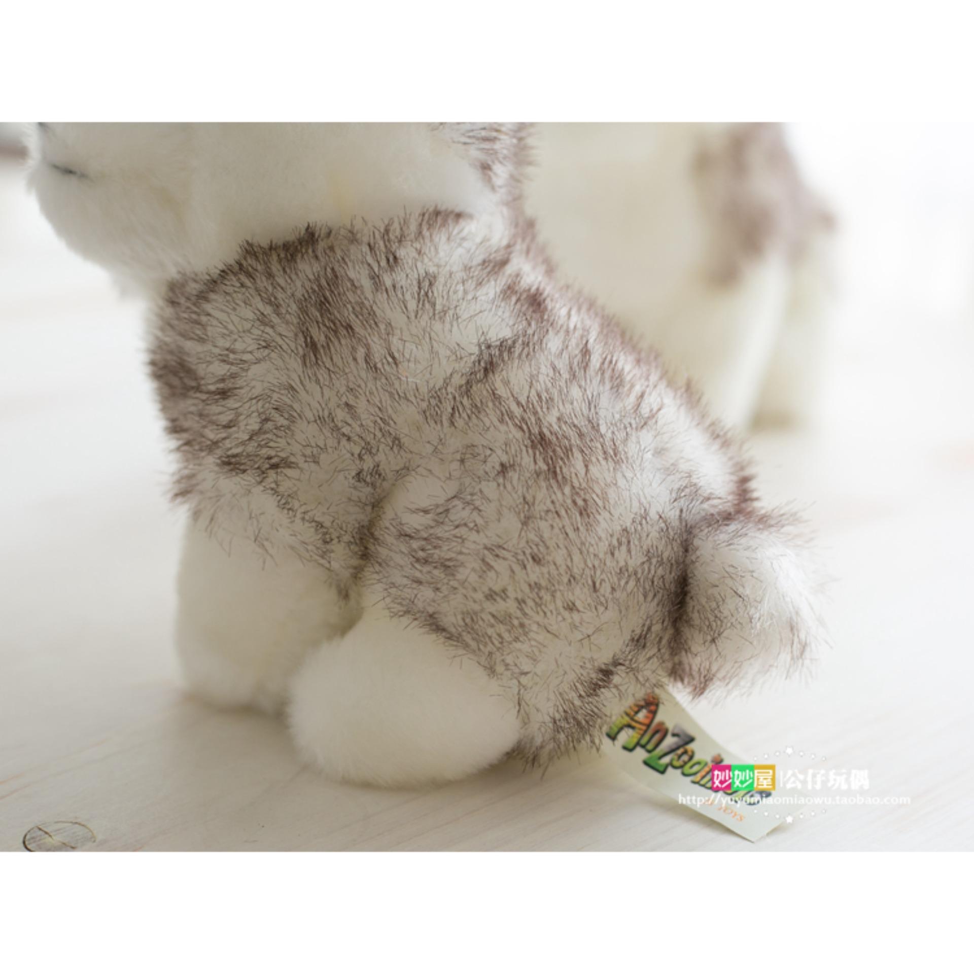 Gấu bông, thú nhồi bông - Chó bông husky