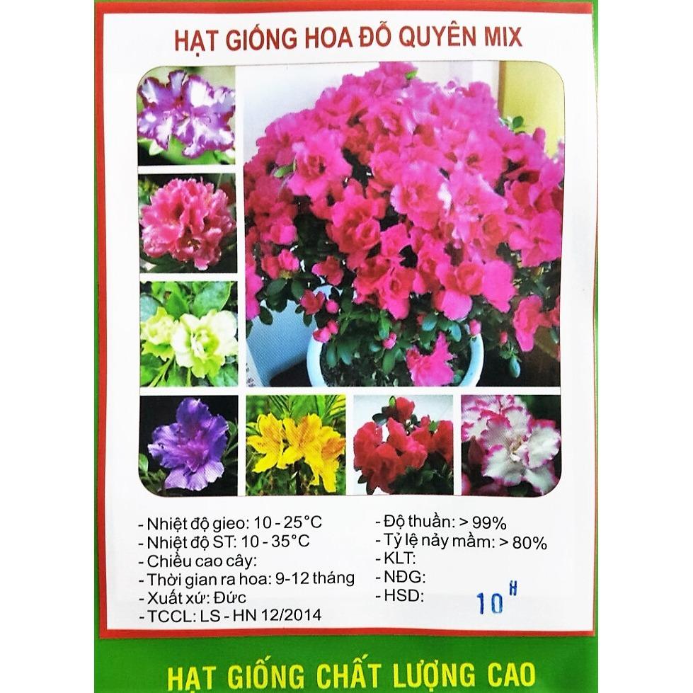 [HCM]Hạt Giống Hoa Đỗ Quyên Mix (Geranium) Đức - KLT 10 hạt