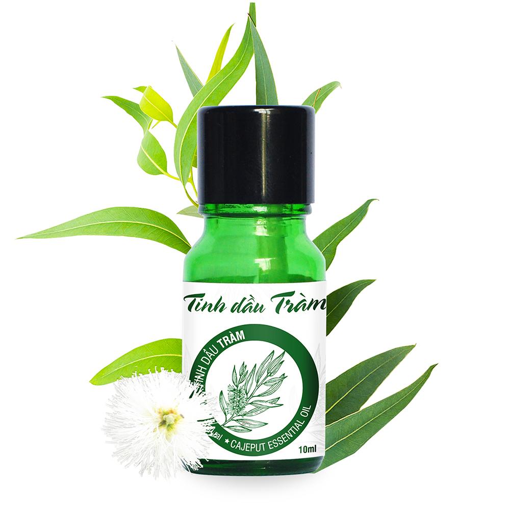 [HCM]Tinh Dầu Tràm Đất Việt 10ml