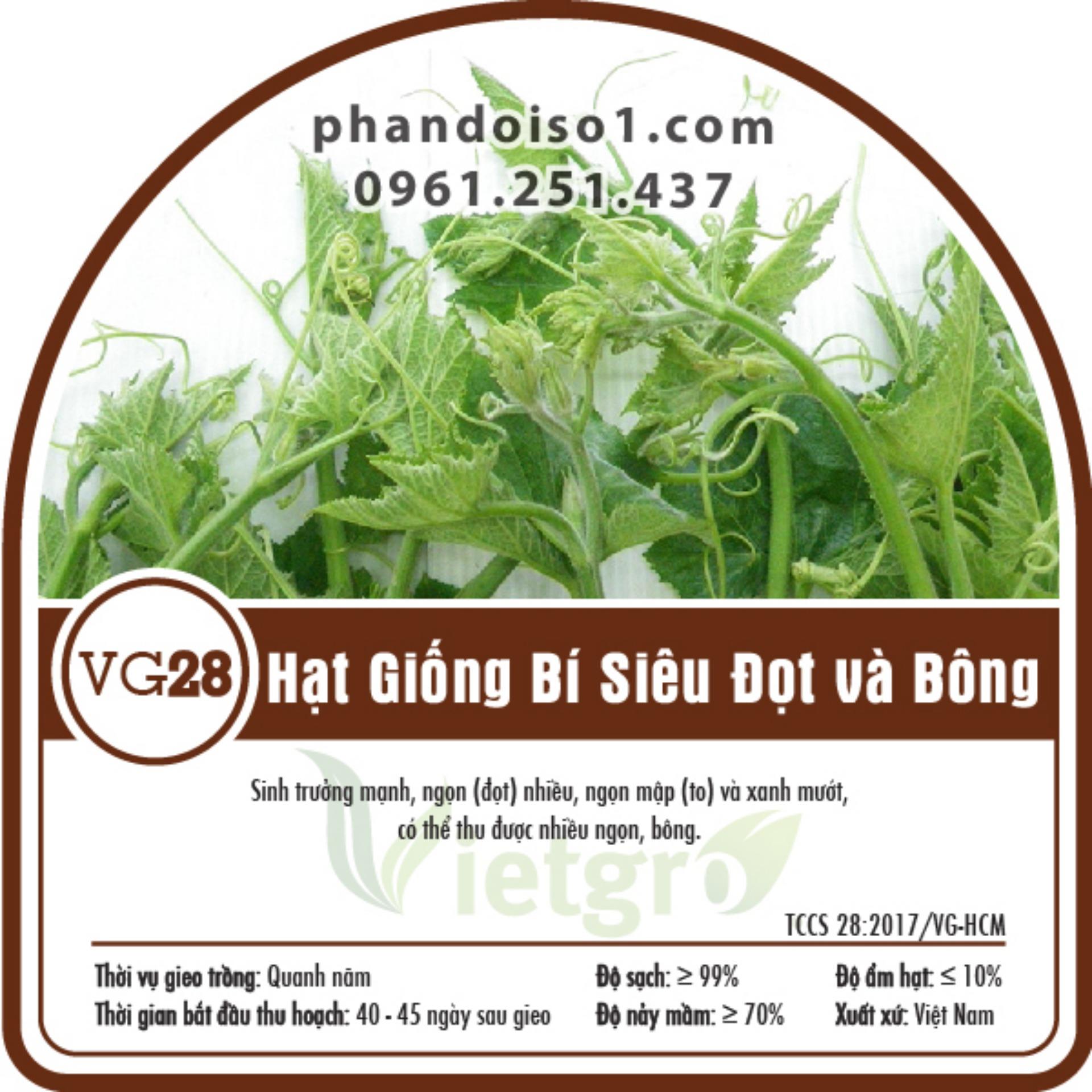 Bộ 5 gói Hạt Giống Bí Siêu Đọt và Bông Vietgro