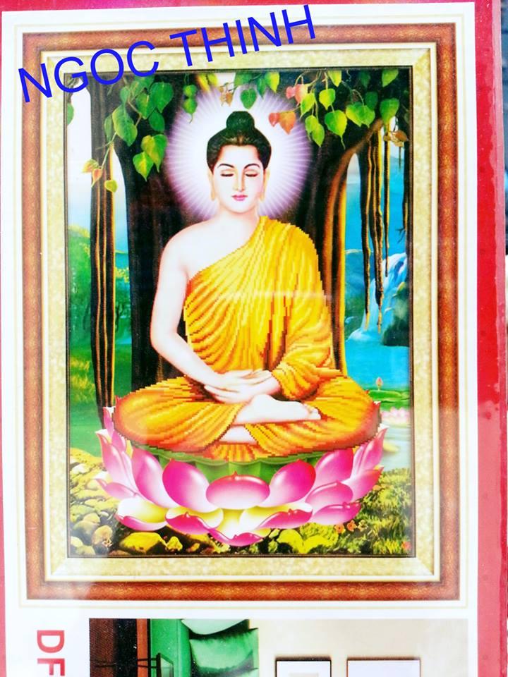 Tranh đính đá Phật tổ DF2333- Ngocthinhshop