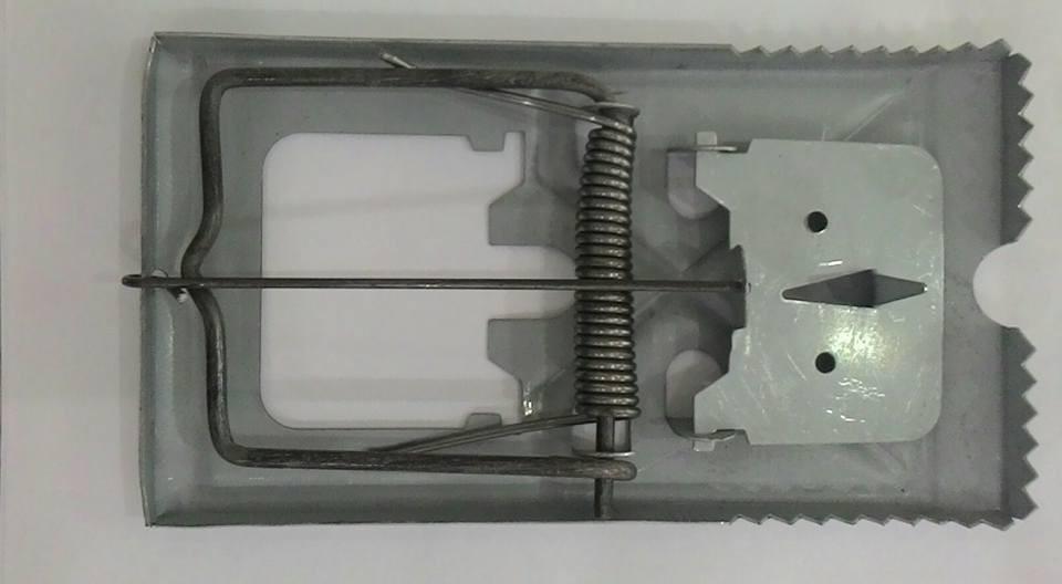 Bẫy chuột hình răng cưa - bẫy sập chuột cực nhạy