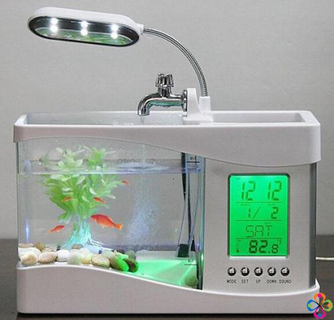 Bể cá mini kiêm đồng hồ để bàn sang trọng_(Màu đen)