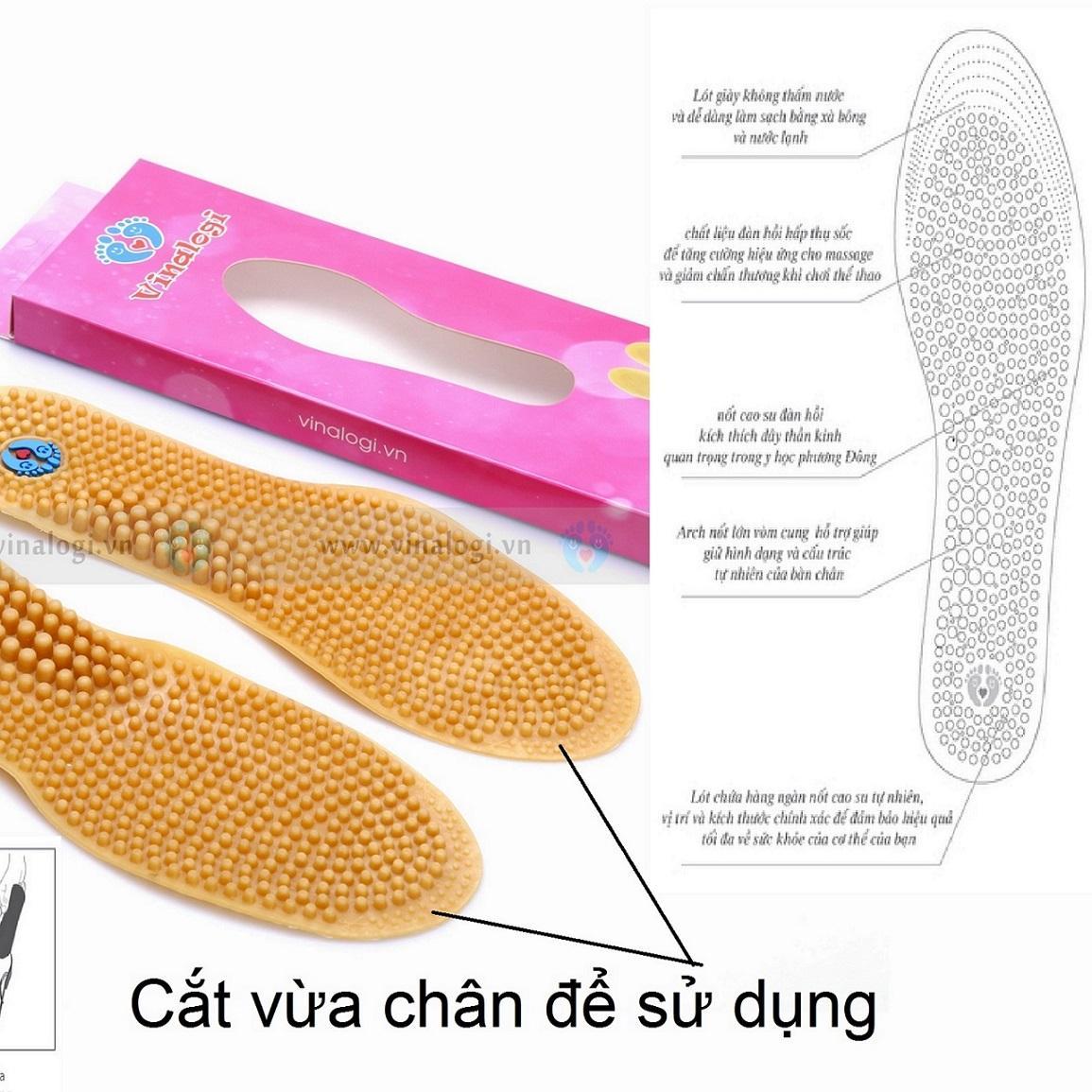 HCMlót giày massage chân vinalogi Gum