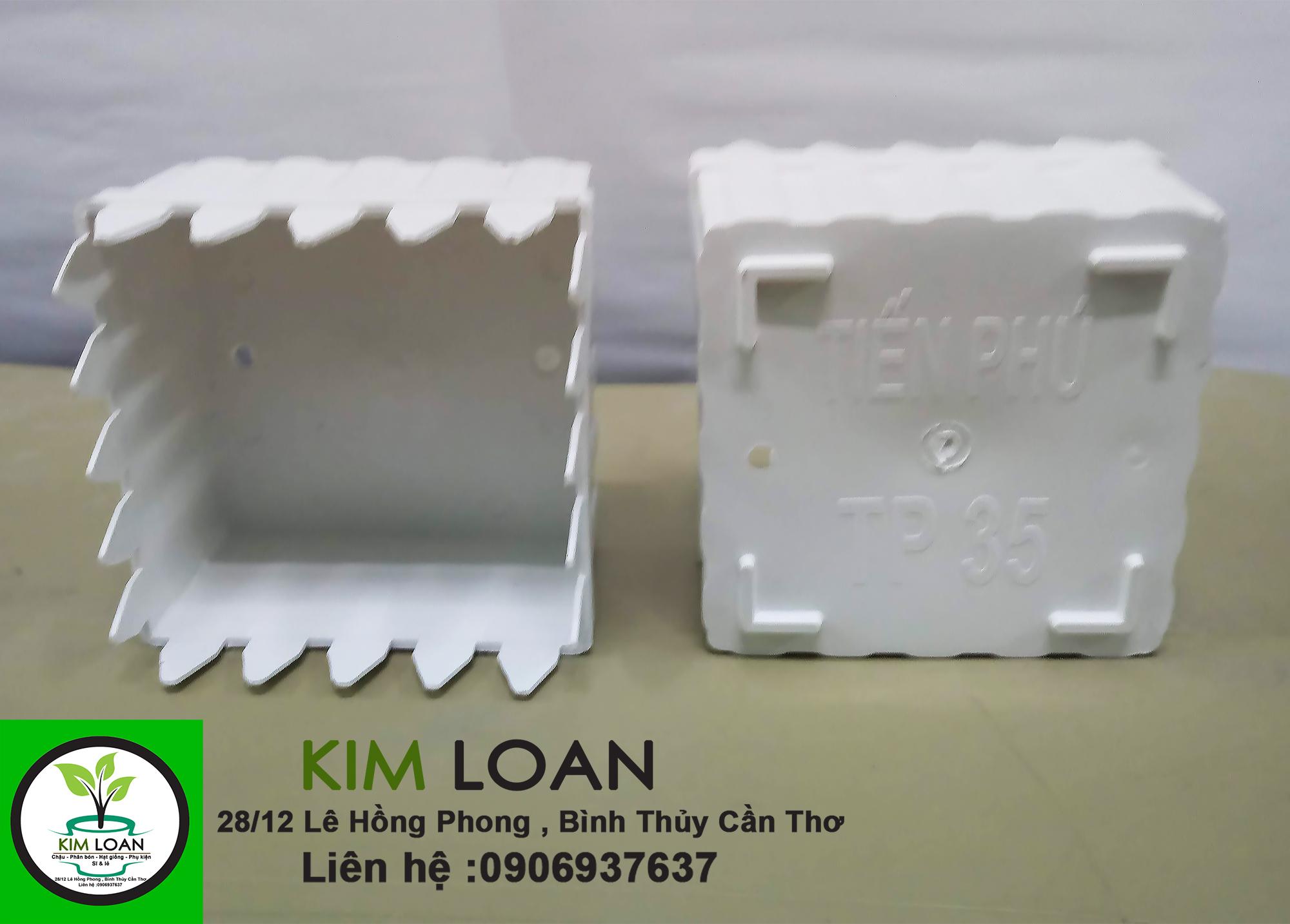 Chậu hàng rào mini 12x9cm