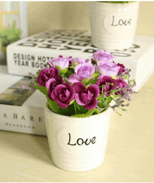 Chậu hoa love mini để bàn hoa nở
