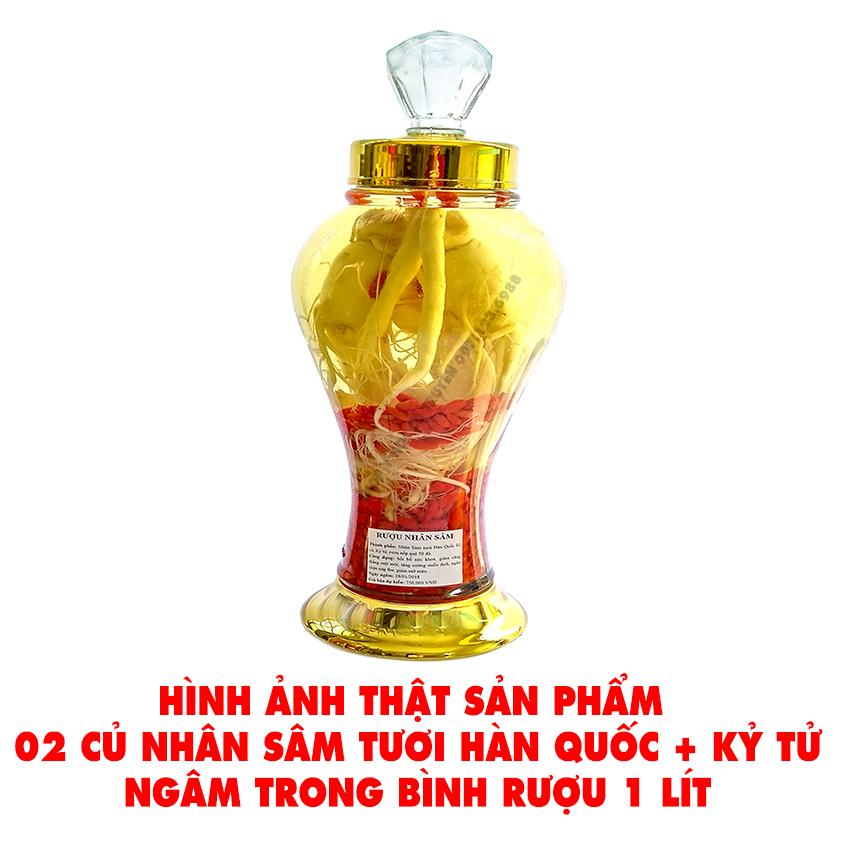 Combo 2 Nhân sâm tươi Hàn Quốc (Loại tốt) - Tặng 200gTáo đỏ