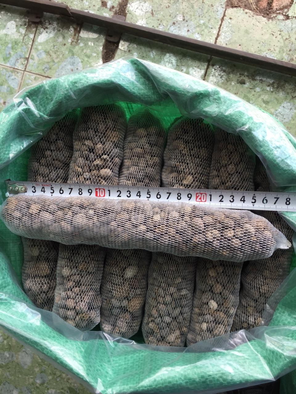 Combo 30 túi phân dê ủ nấm trichoderma dài 25cm