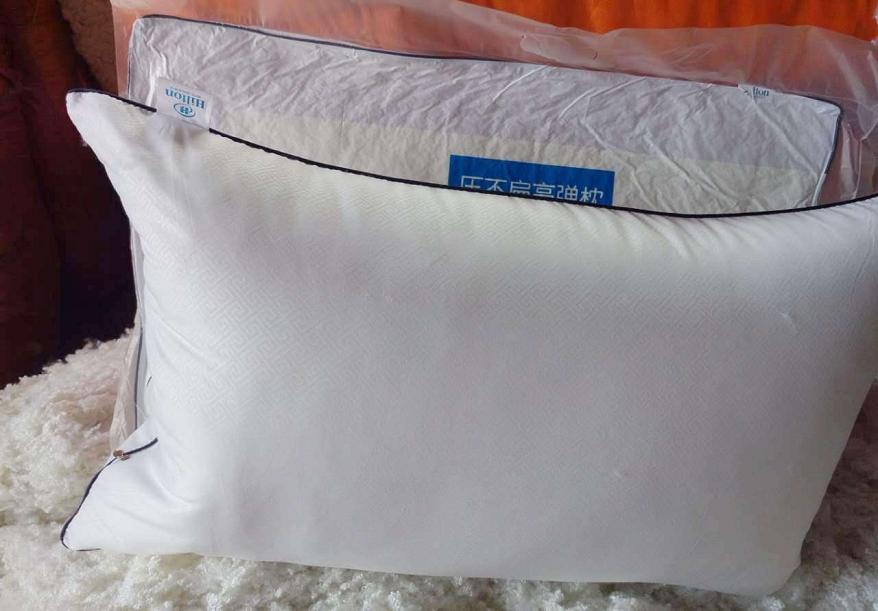 Bộ 2 ruột gối nằm Hilton 50 x 70cm