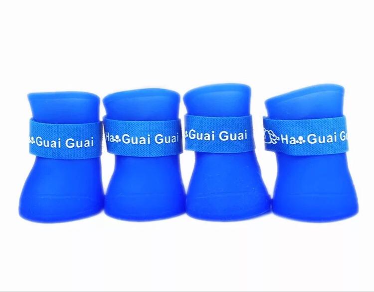 Giày cho thú cưng