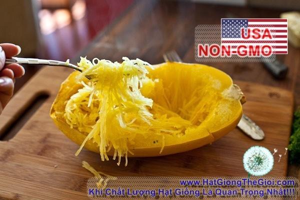 1Gr Hạt Giống Bí Sợi Mì Ý Spaghetti (A1.302| C38A*W44*M159)