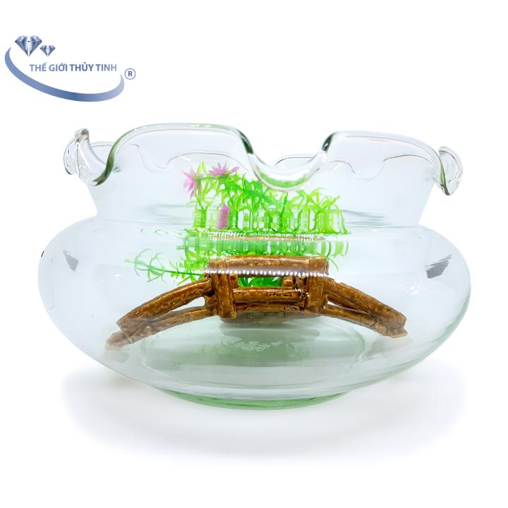 Bể Cá Thủy Tinh Hồ Cá Miệng Bèo Lùn D15Cm X H8Cm - B16