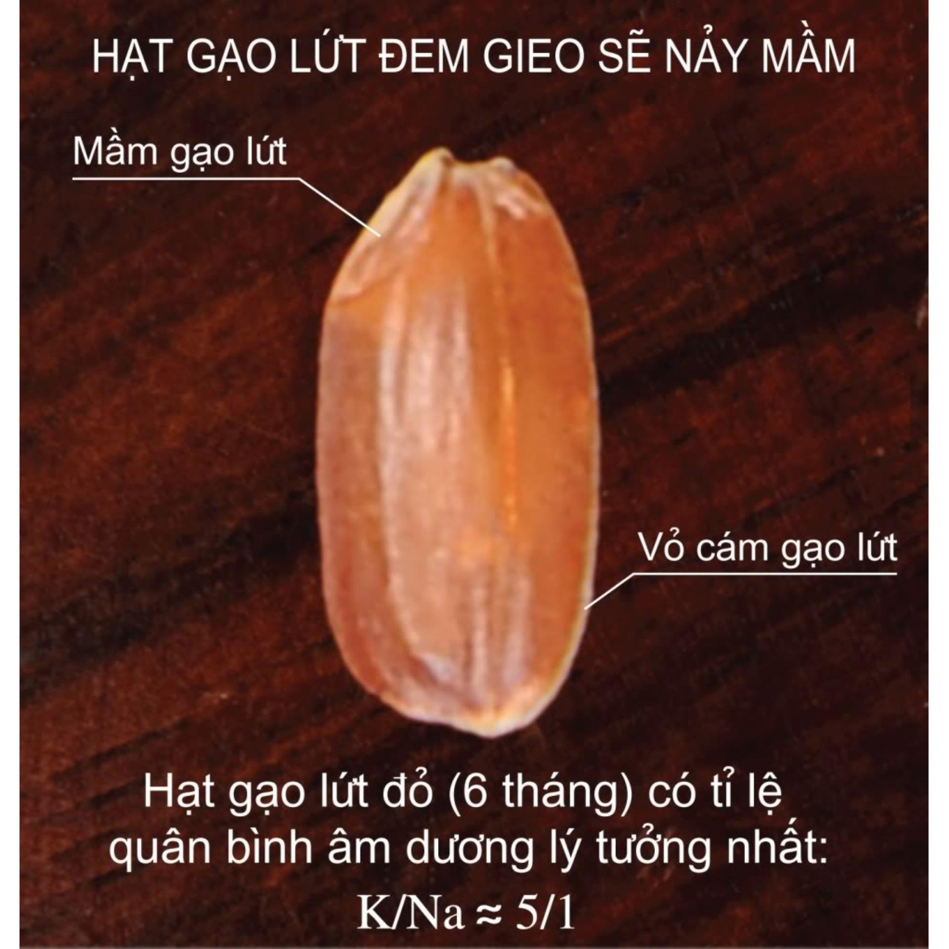 Cốm gạo lứt rang chay 500gram