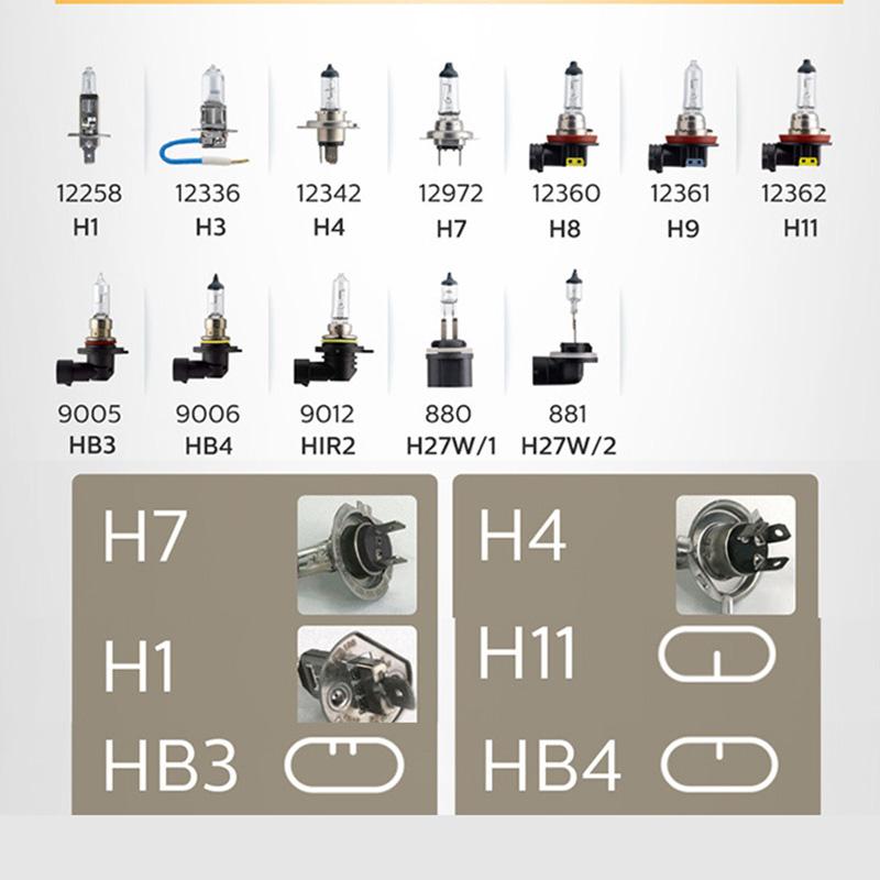 [HCM]Bóng đèn Phi-Lips H1 Original 12V 55W (Sáng vàng nắng)