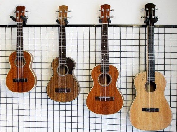 Móc treo đàn guitar MT01 đệm mút xốp