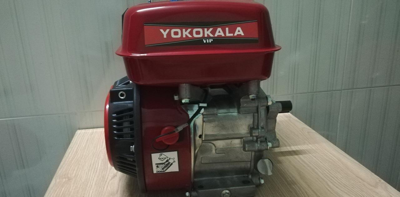 Máy nổ Yokokala 6.5 cốt xéo