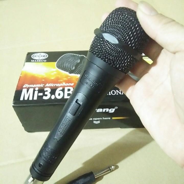 MIC KARAOKE ARIRANG 3.6B