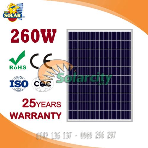 Pin Năng Lượng Mặt Trời Poly 250w World Energy