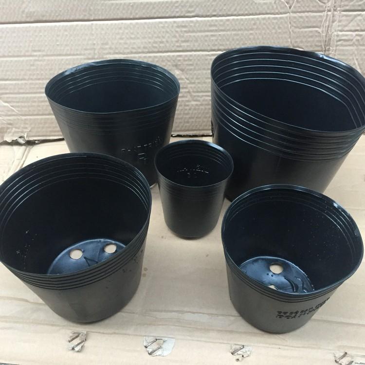 Bộ 100 Chậu trồng Hoa, Cây cảnh C8 (18x16cm)