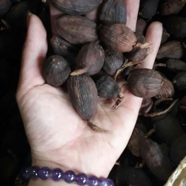 Thảo quả khô 1kg