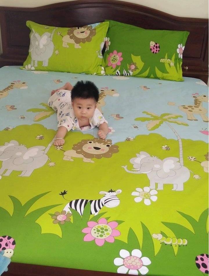 Ga chống thấm Goodmama 1.6x2m