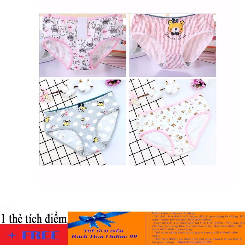 combo 3 quần chíp cotton hình gấu cute ql6 bhl1535